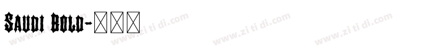 Saudi Bold字体转换
